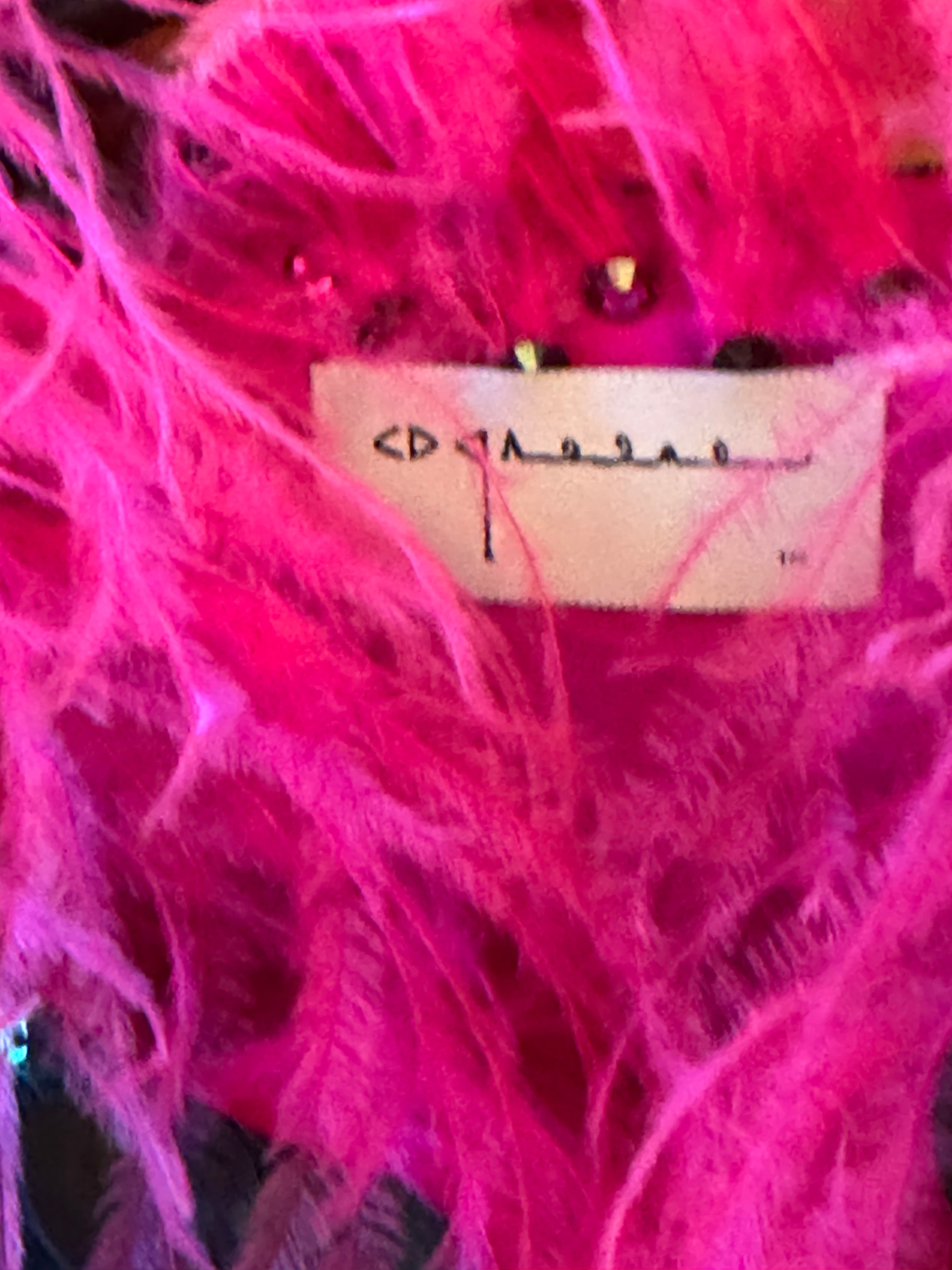 Sequin and Ostrich feather jacket