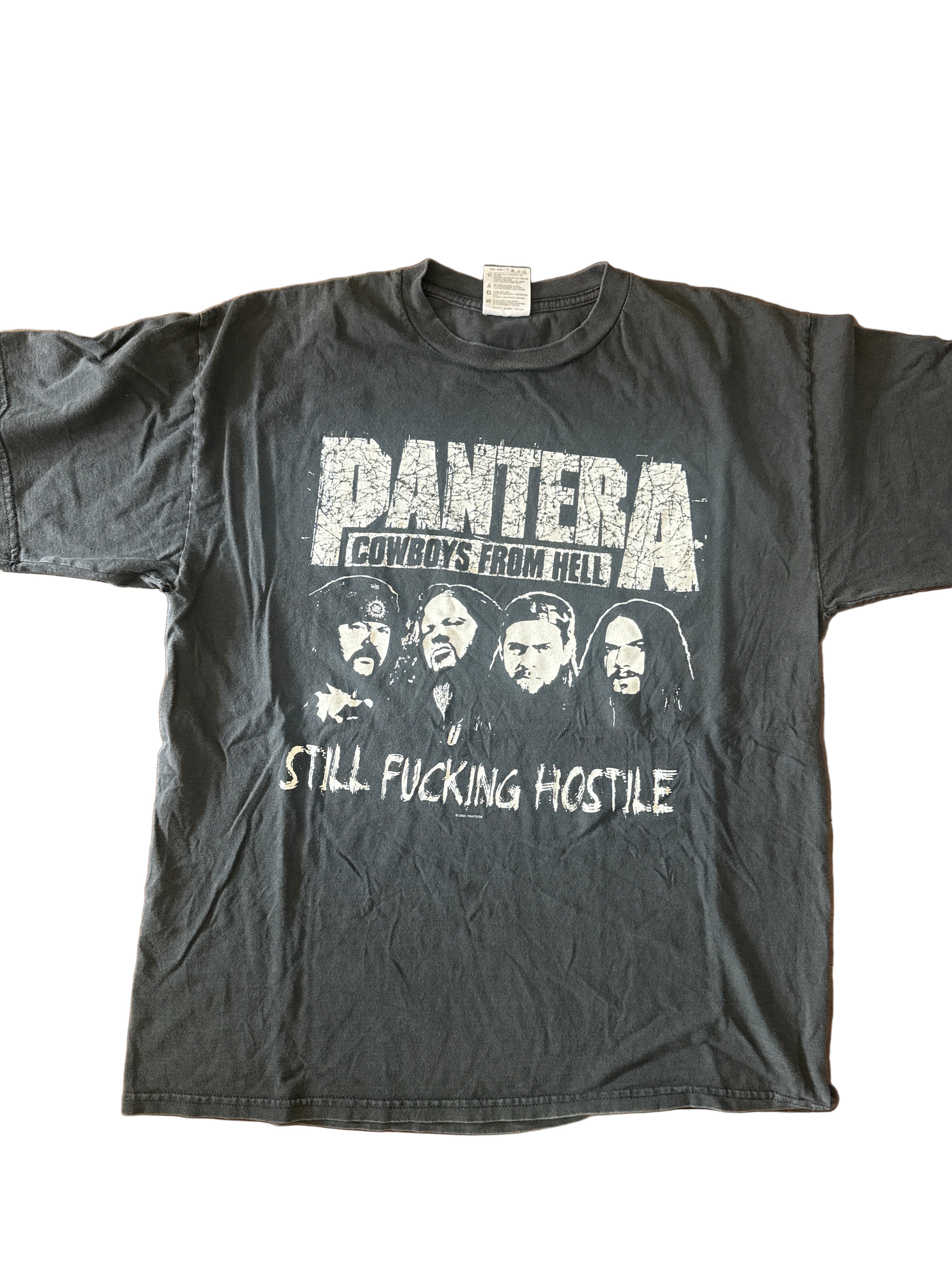 PANTERA • Reinventing the Steel