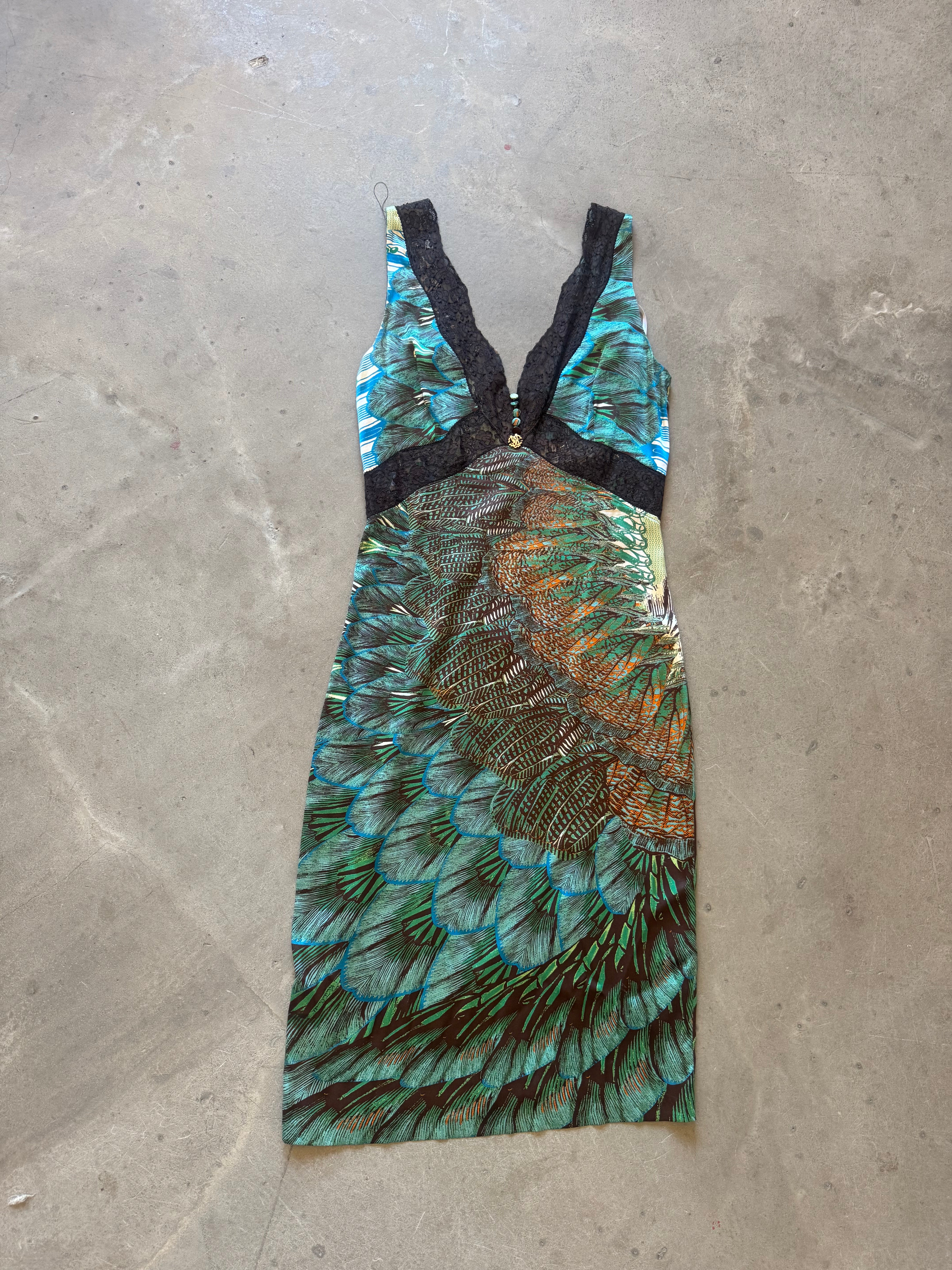 Peacock Print Vintage Dress 2012