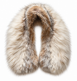 Vintage 1960’s Fox Fur Collar