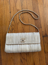 Cruise 2018 Pleated Python Bag