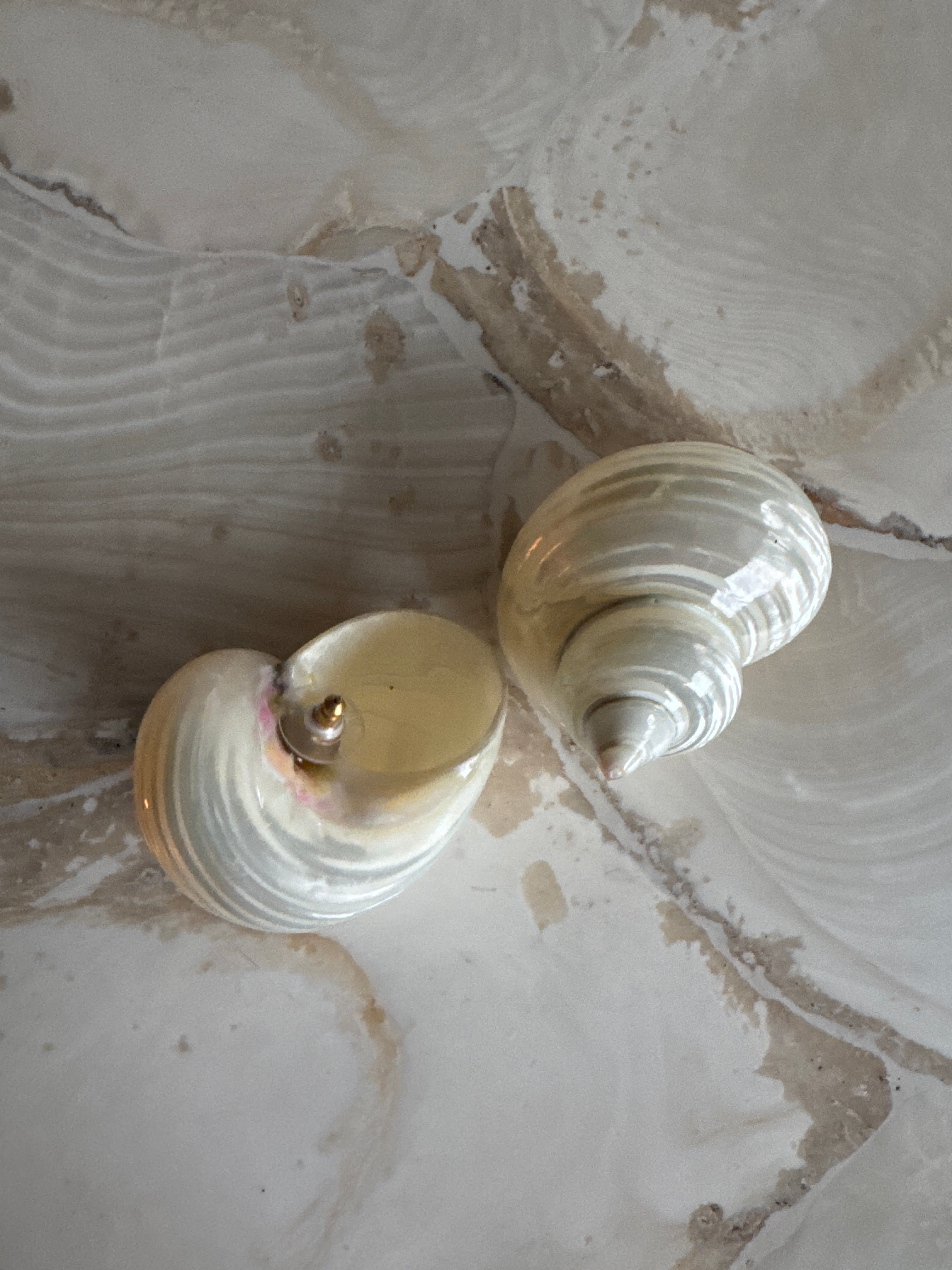 Large Shell Earrings
