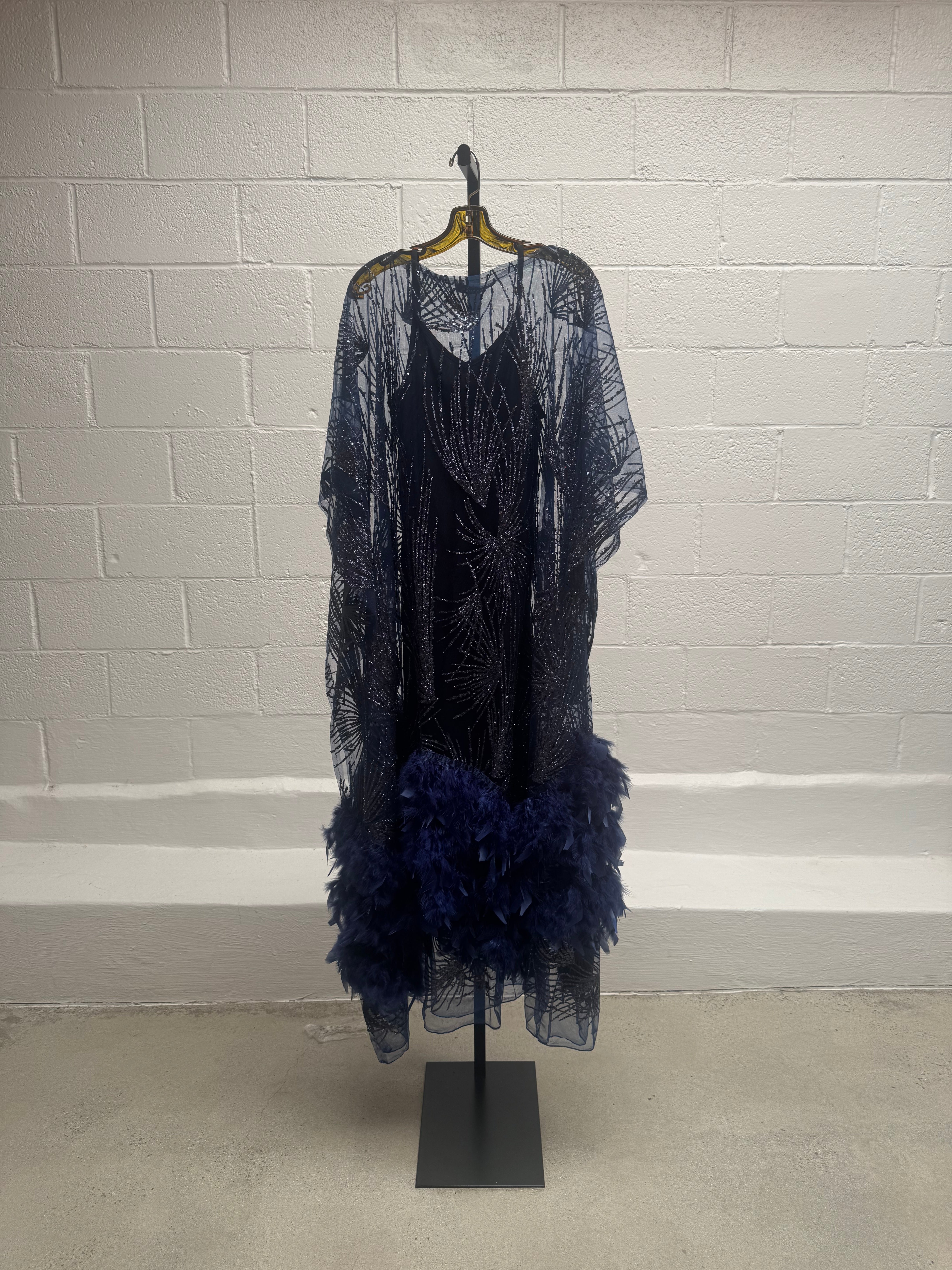 Gown with Feathers
