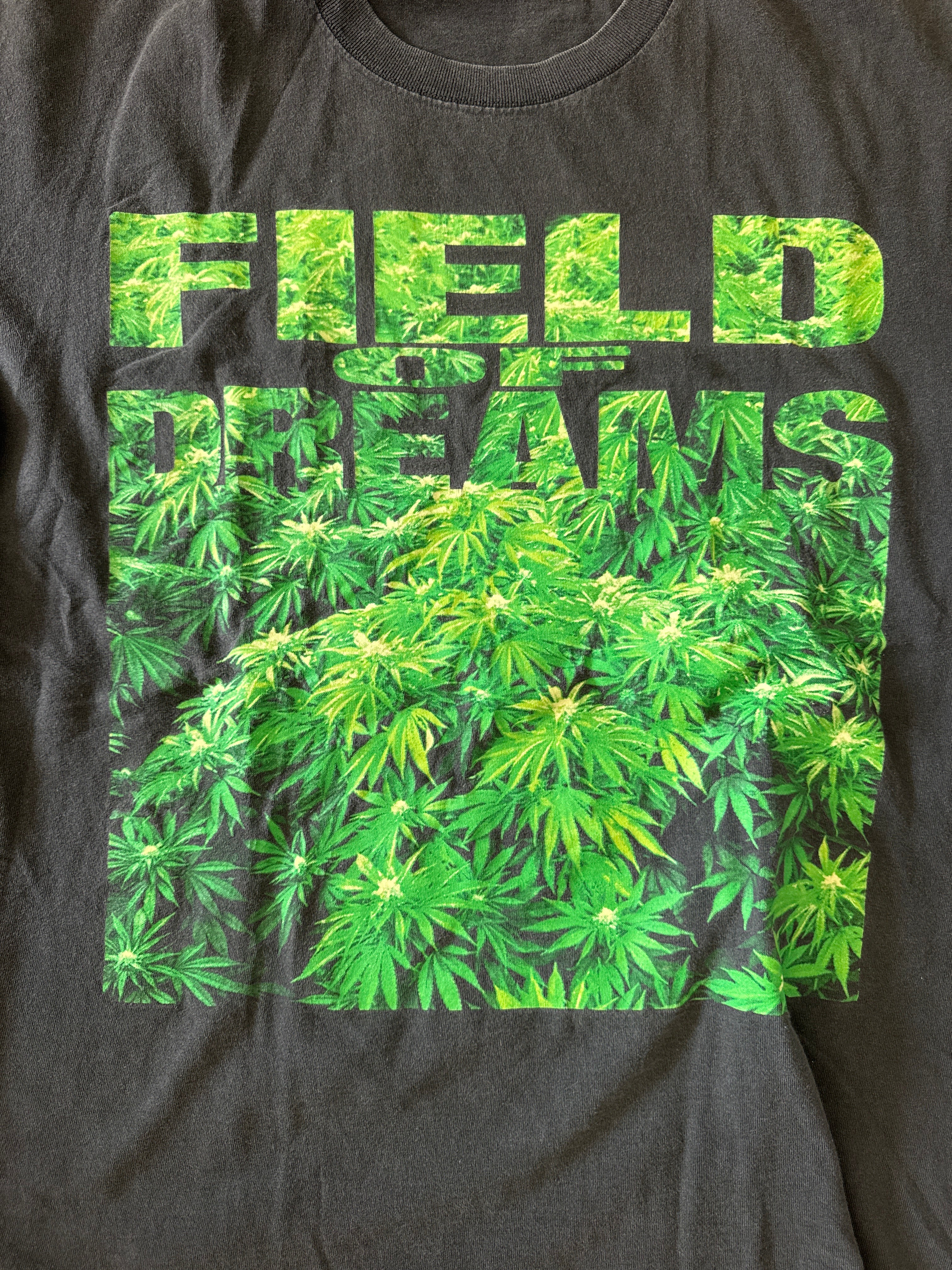 Field of Dreams