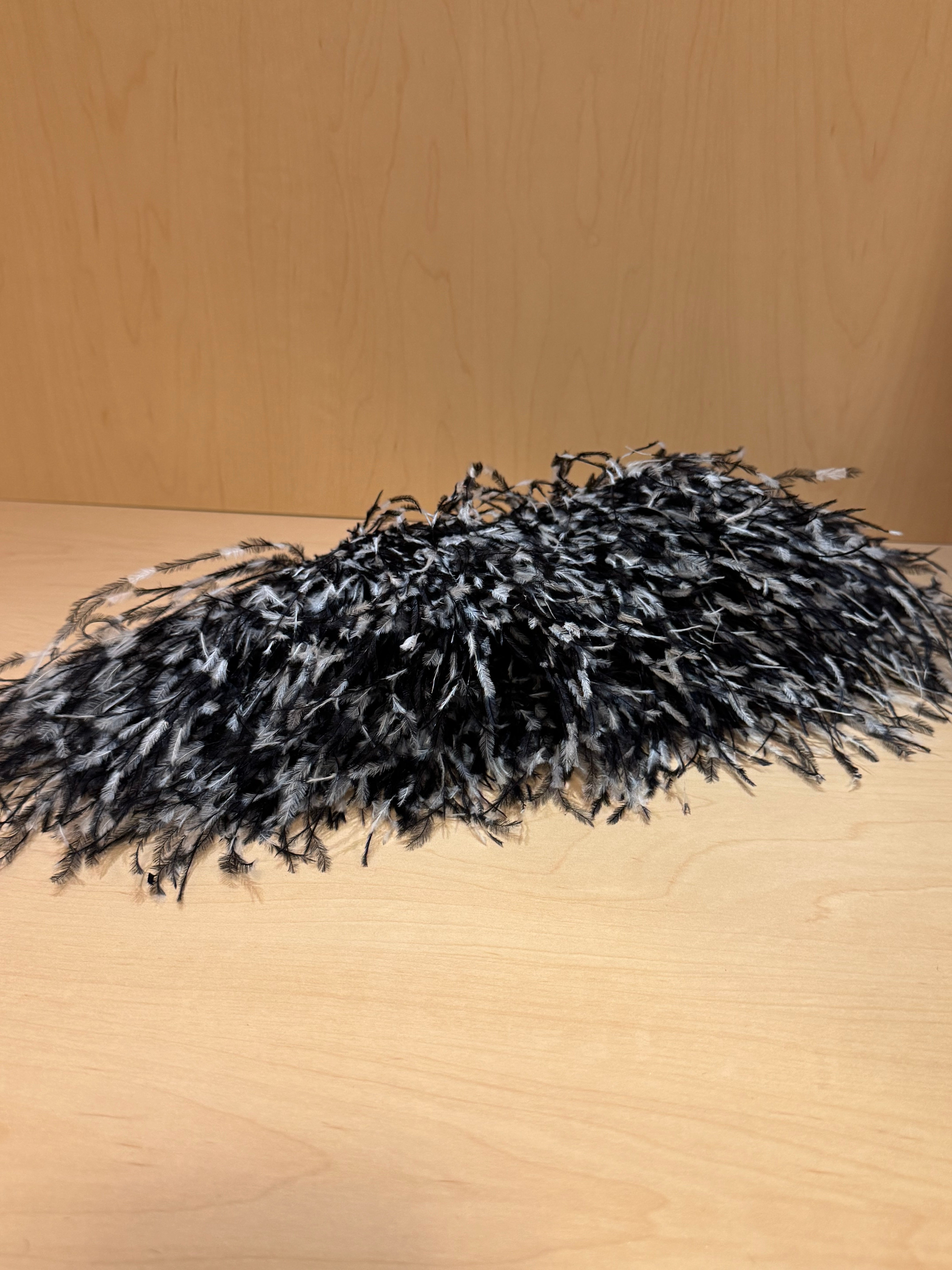 Ostrich Feather Bag