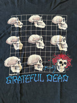 GD • What a long strange Trip it’s been