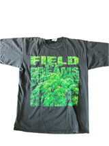Field of Dreams