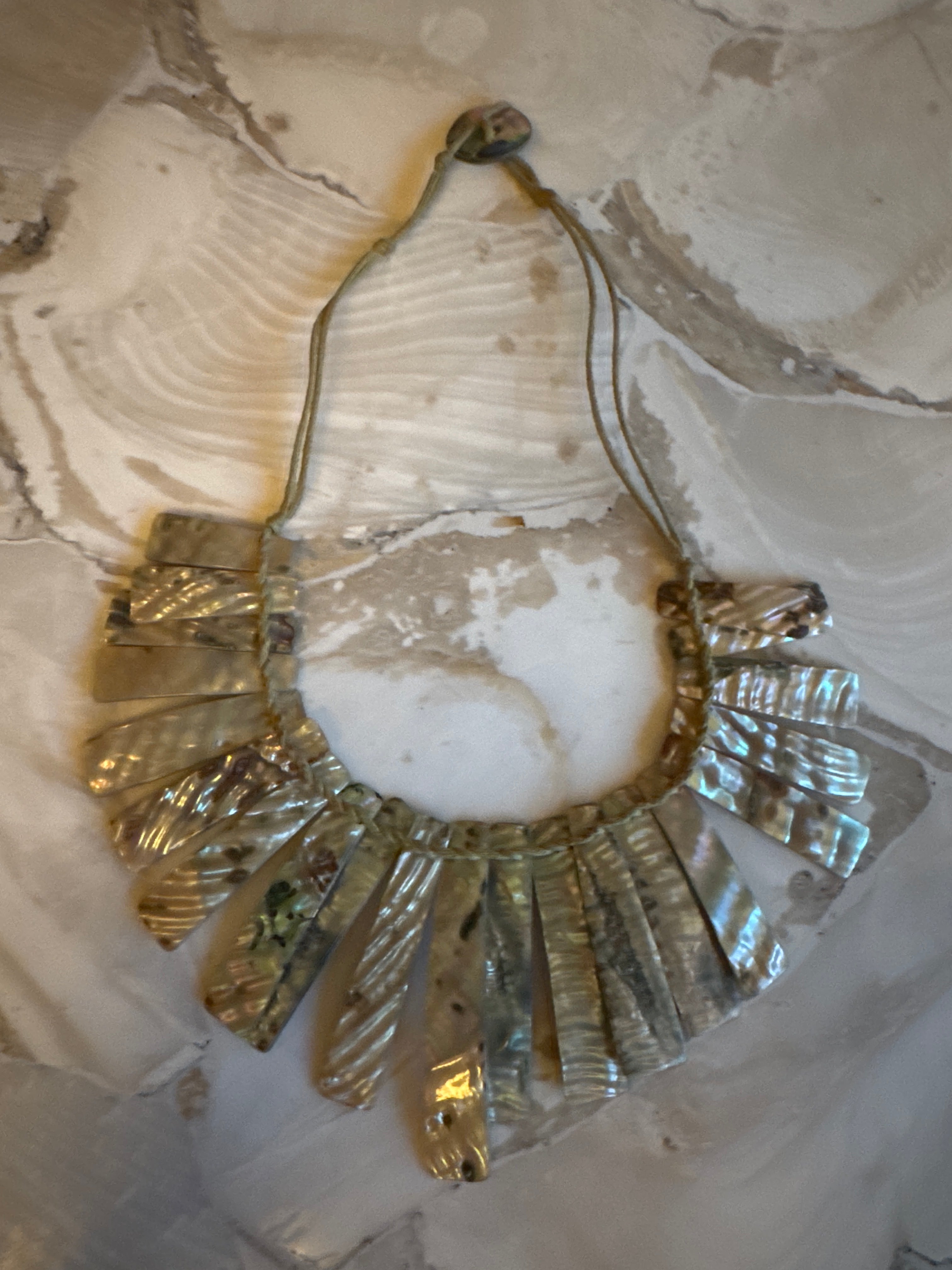 Shell Fringe Necklace