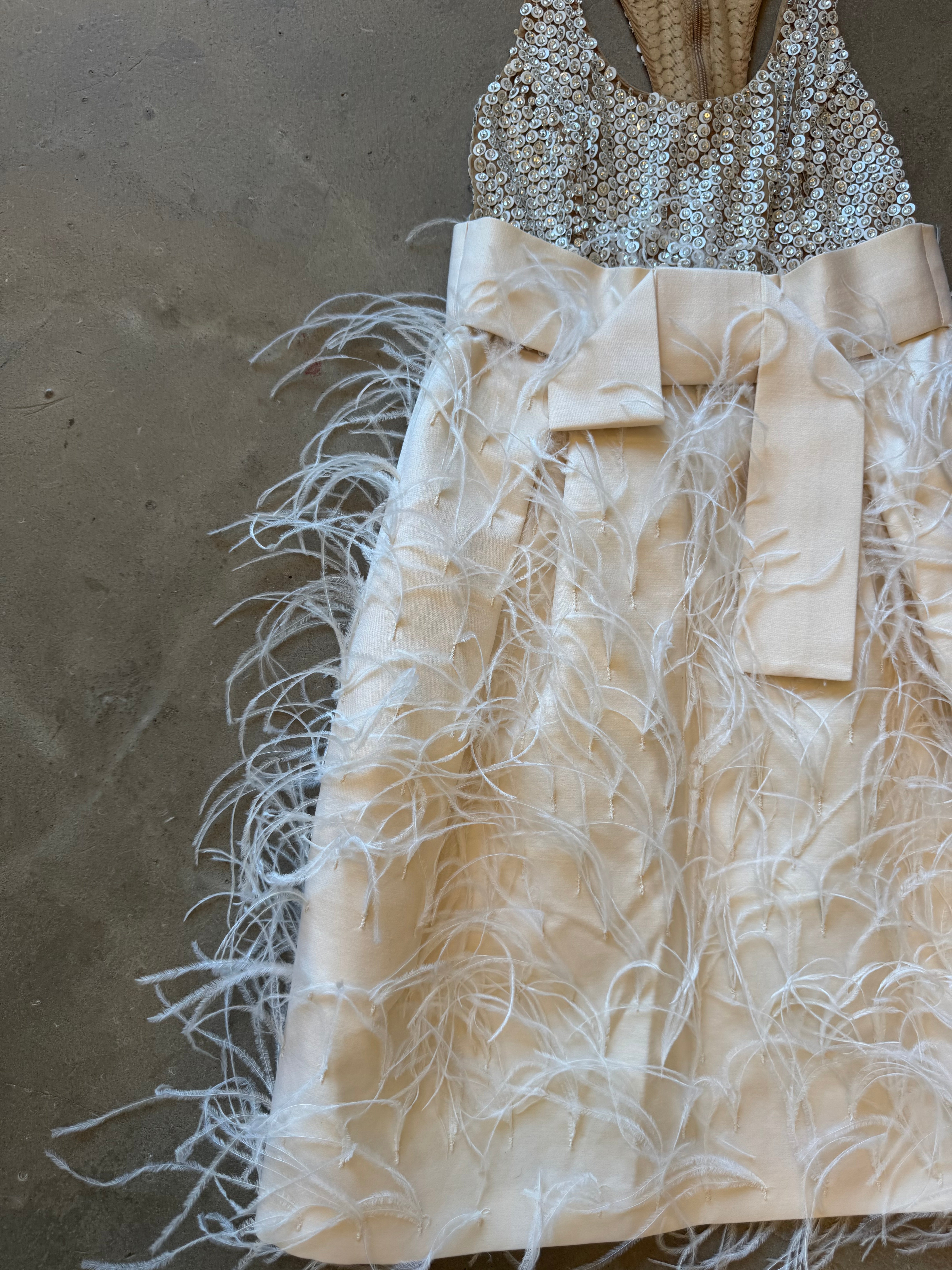 Runway Ostrich Feather and Sequin Dress