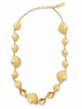 Aquarius Chain Belt