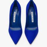BB Cobalt Calf Hair Pumps (39)