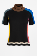 Multicolor Stripe Turtleneck Top