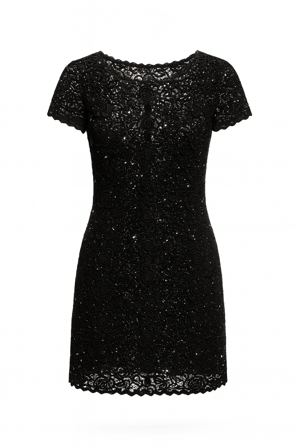 Lace Embroidered Dress