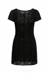 Lace Embroidered Dress