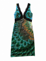 Peacock Print Vintage Dress 2012
