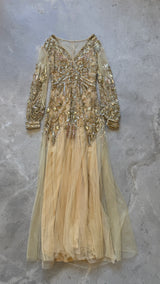 Gold Embellished Gown