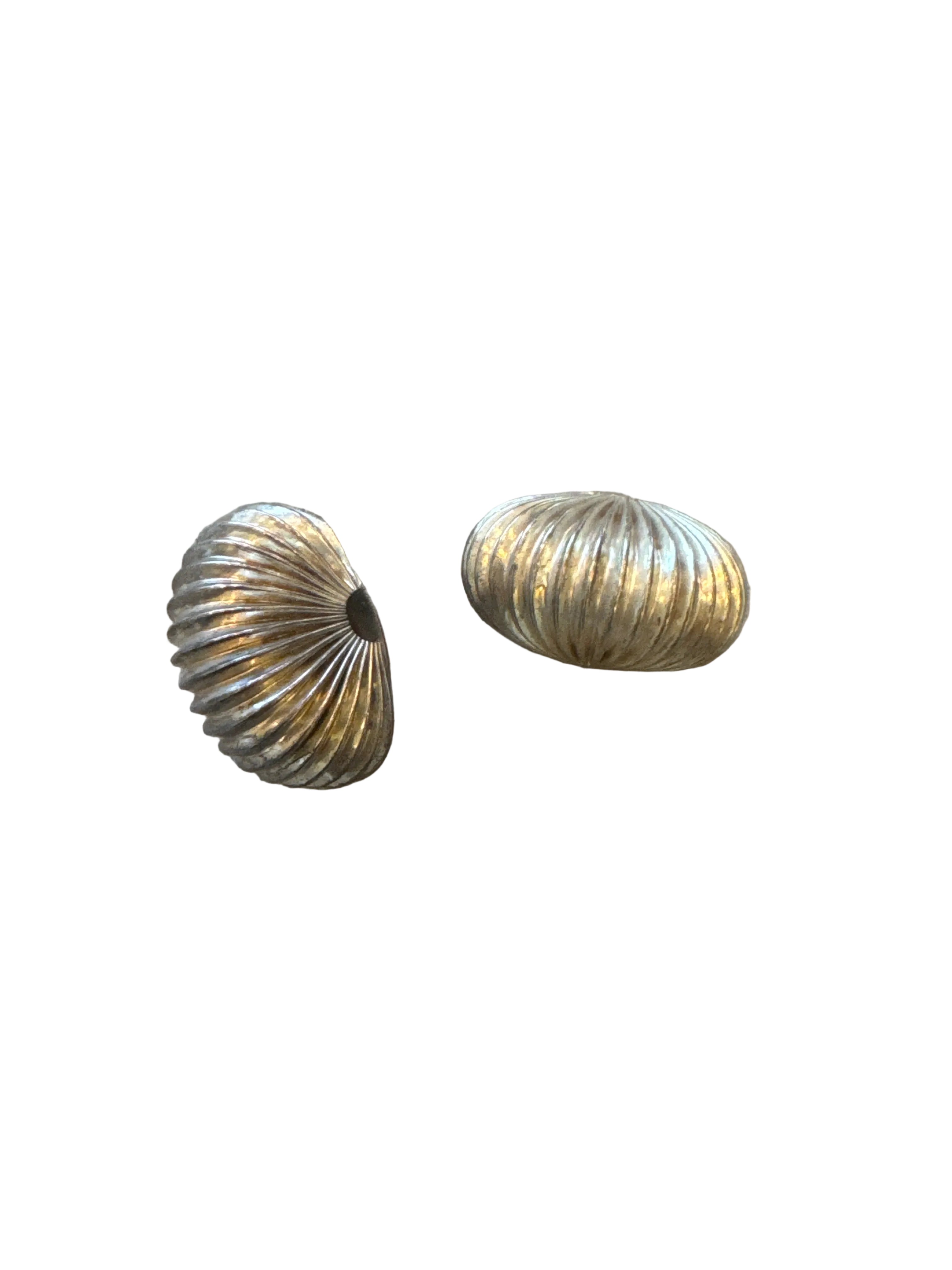 Shell Earrings Silver