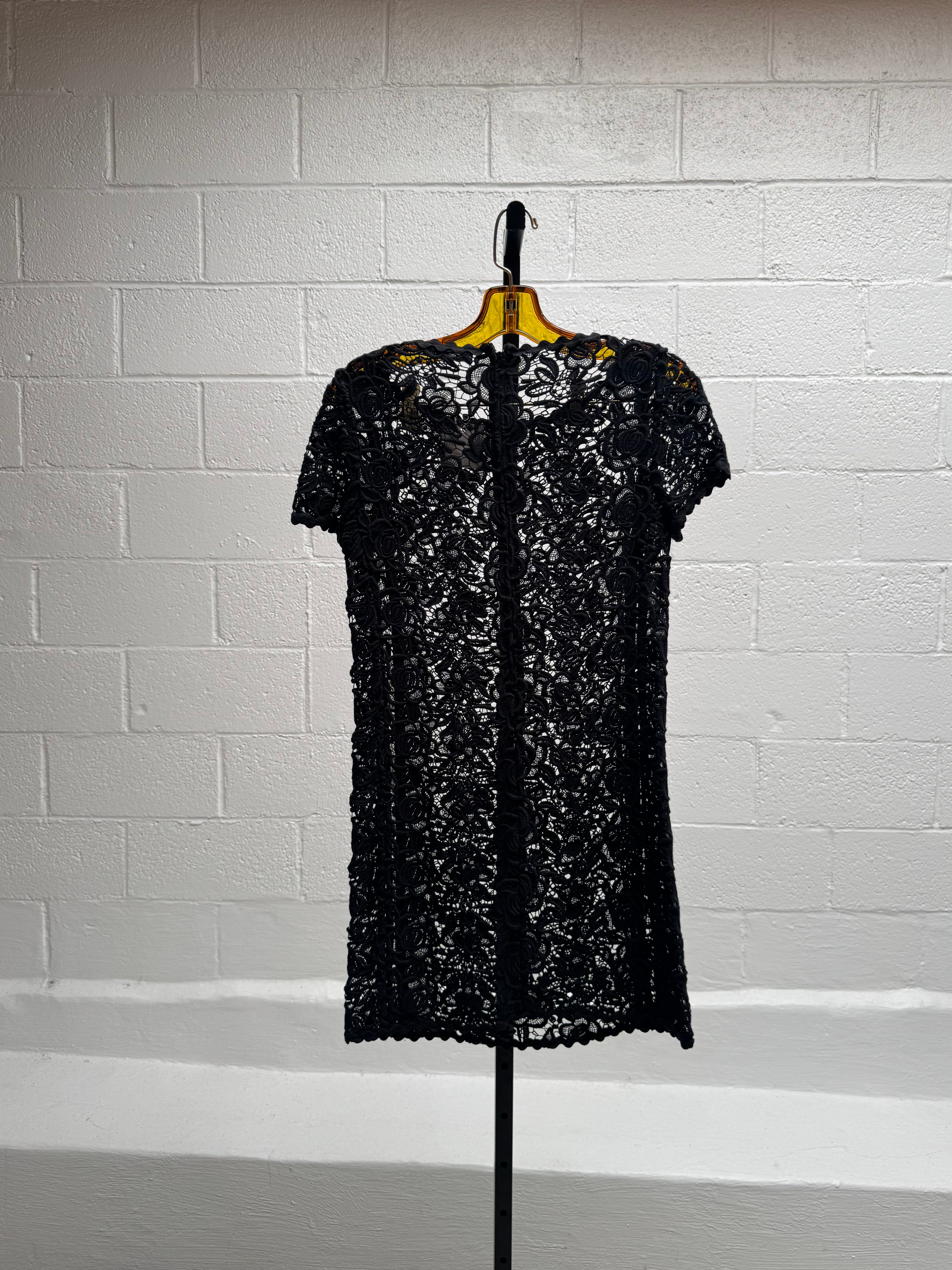 Lace Embroidered Dress