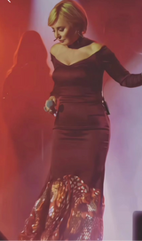 Vintage Gown with Fishtail Printed Train and Bust