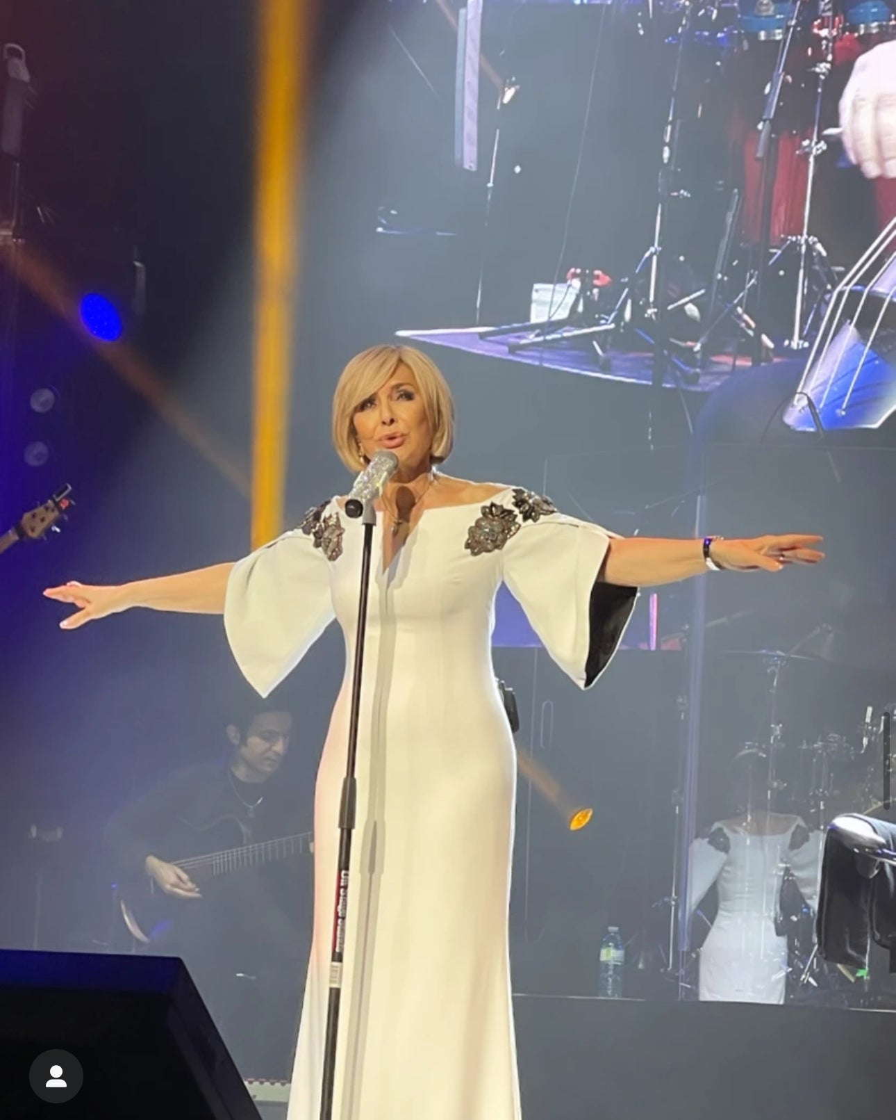 White Gown with Embellished Sleeves