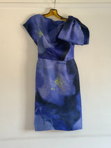 Blue Floral dress Fall 2011