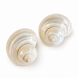Large Shell Earrings