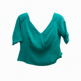 Blue Chiffon Top with sequins skirt