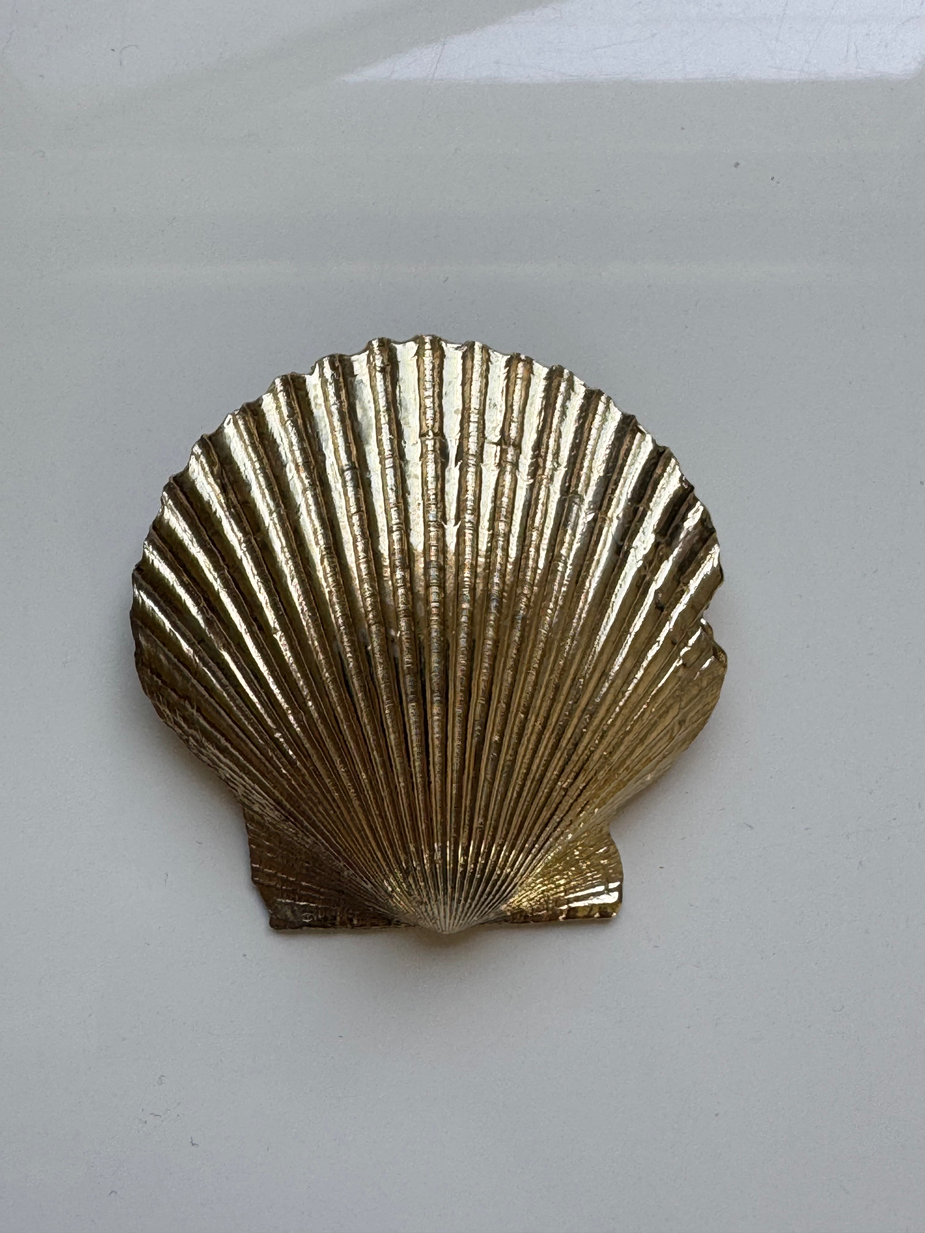 XL Brass Shell Pendant