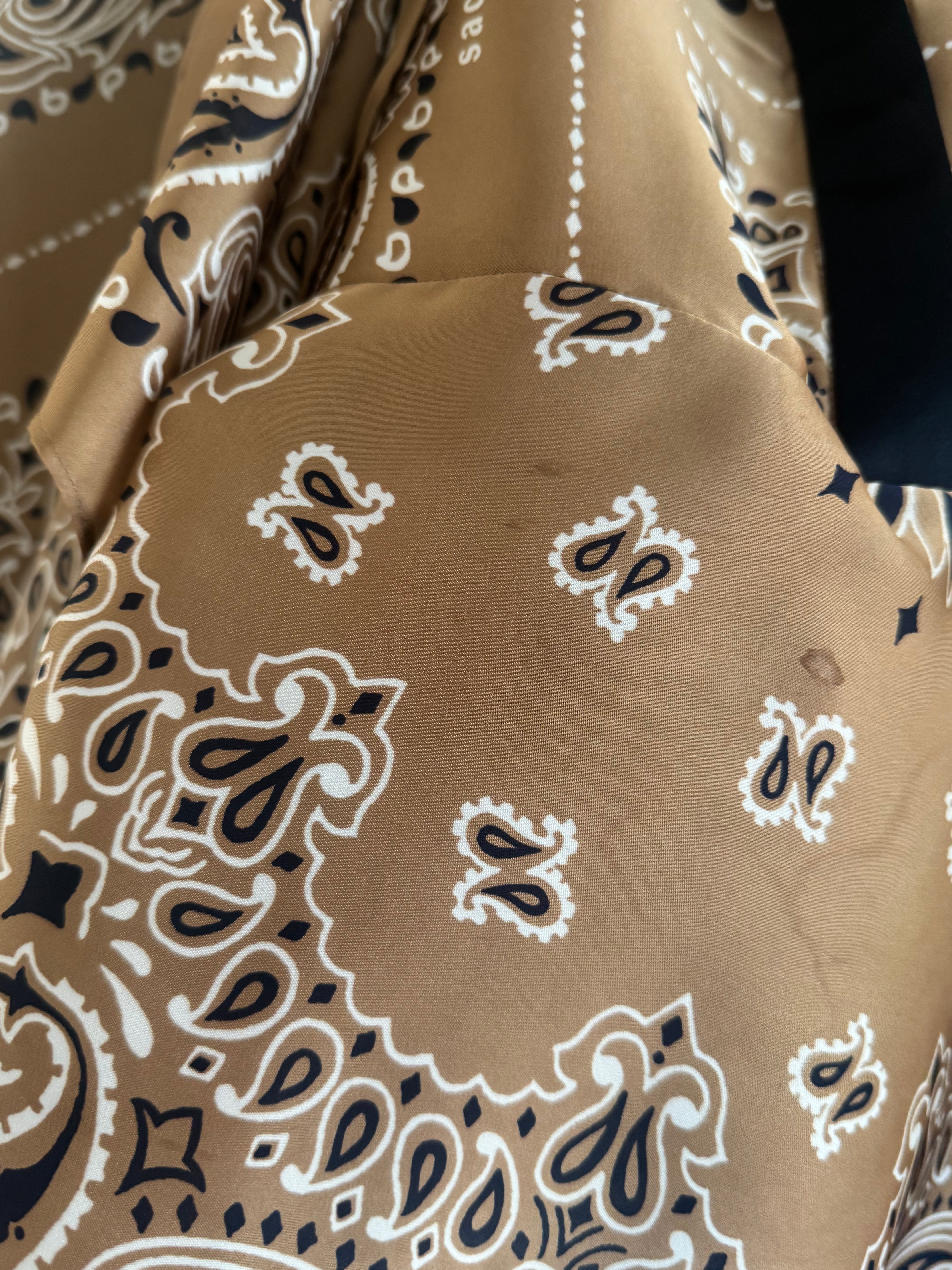 Paisley shirt