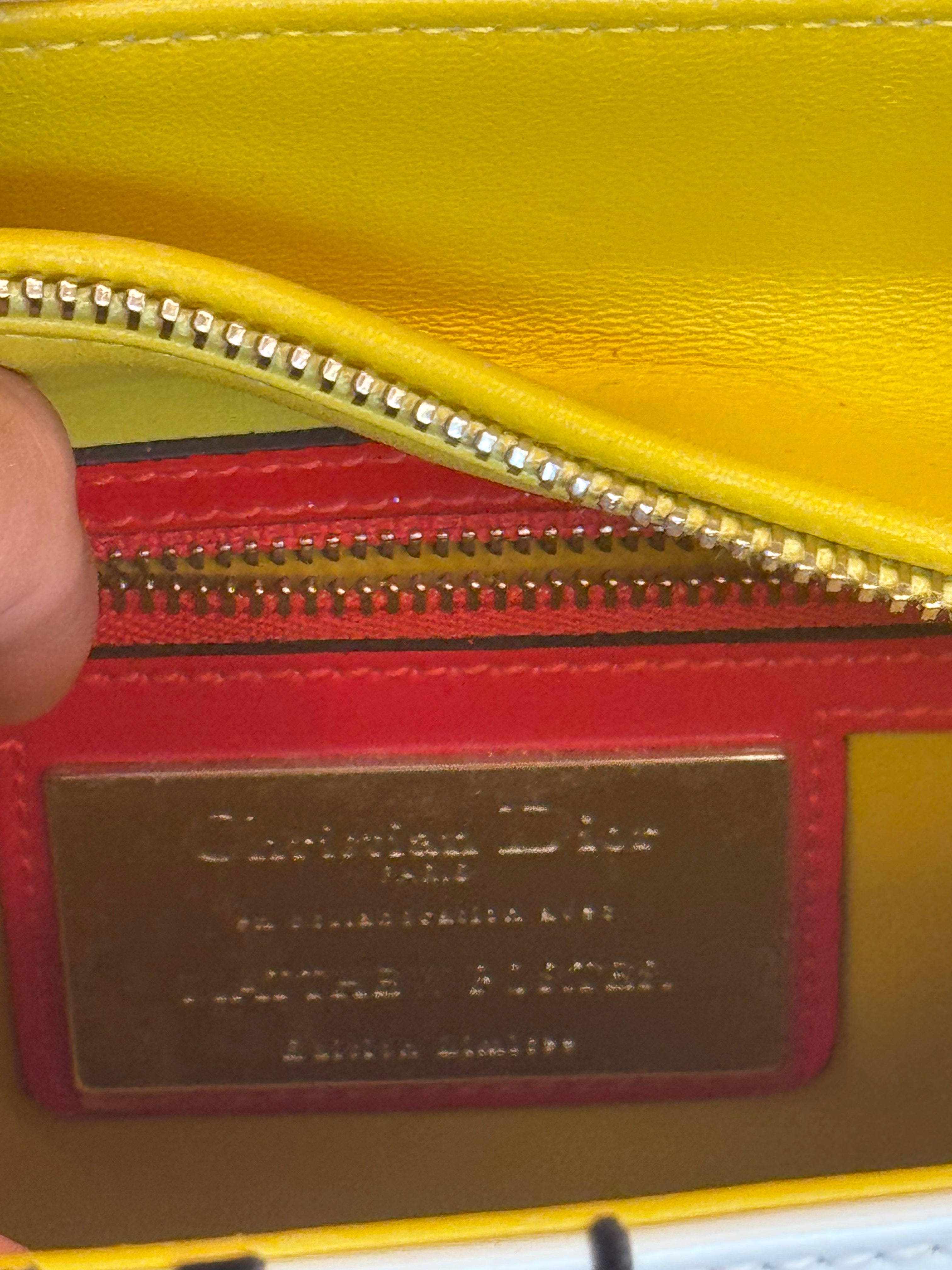 Limited Edition Multicolor Patterned Large Lady Dior by Matthew Porter 2016