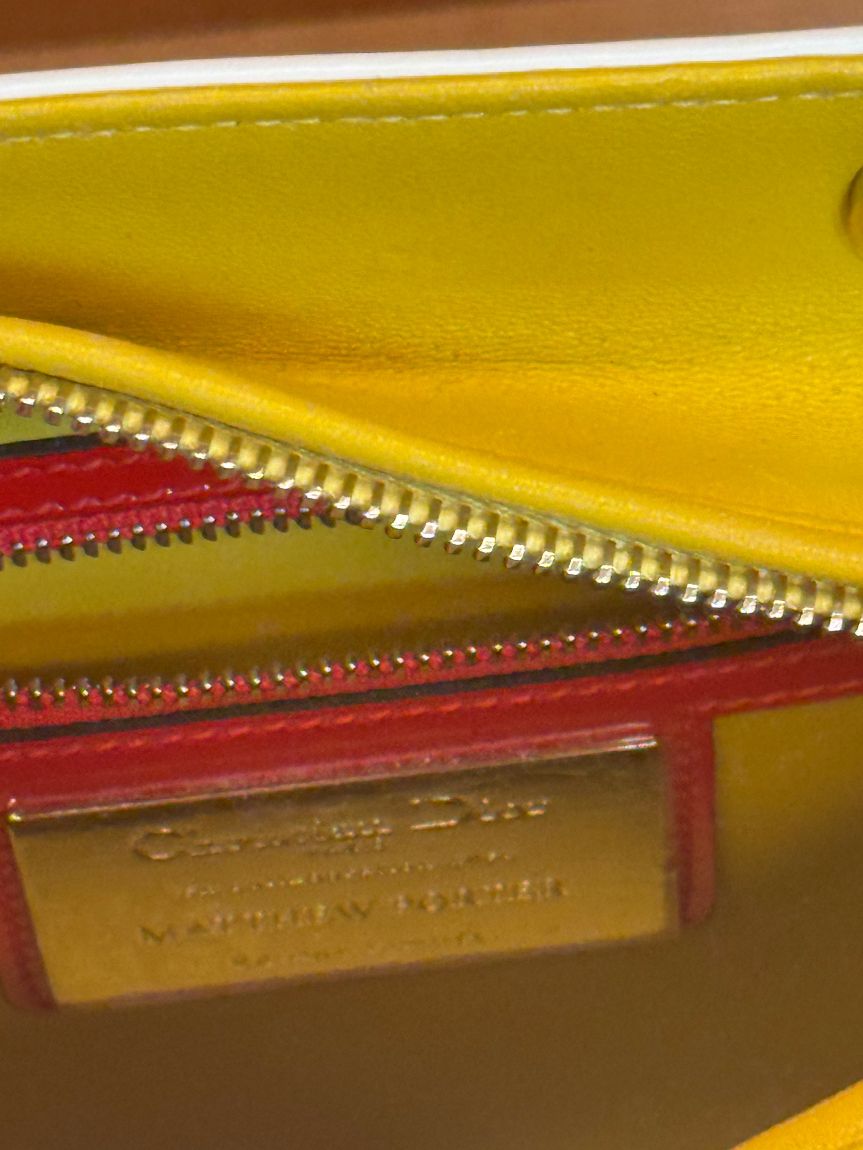 Limited Edition Multicolor Patterned Large Lady Dior by Matthew Porter 2016
