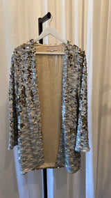 Sequin Jacket In Silver