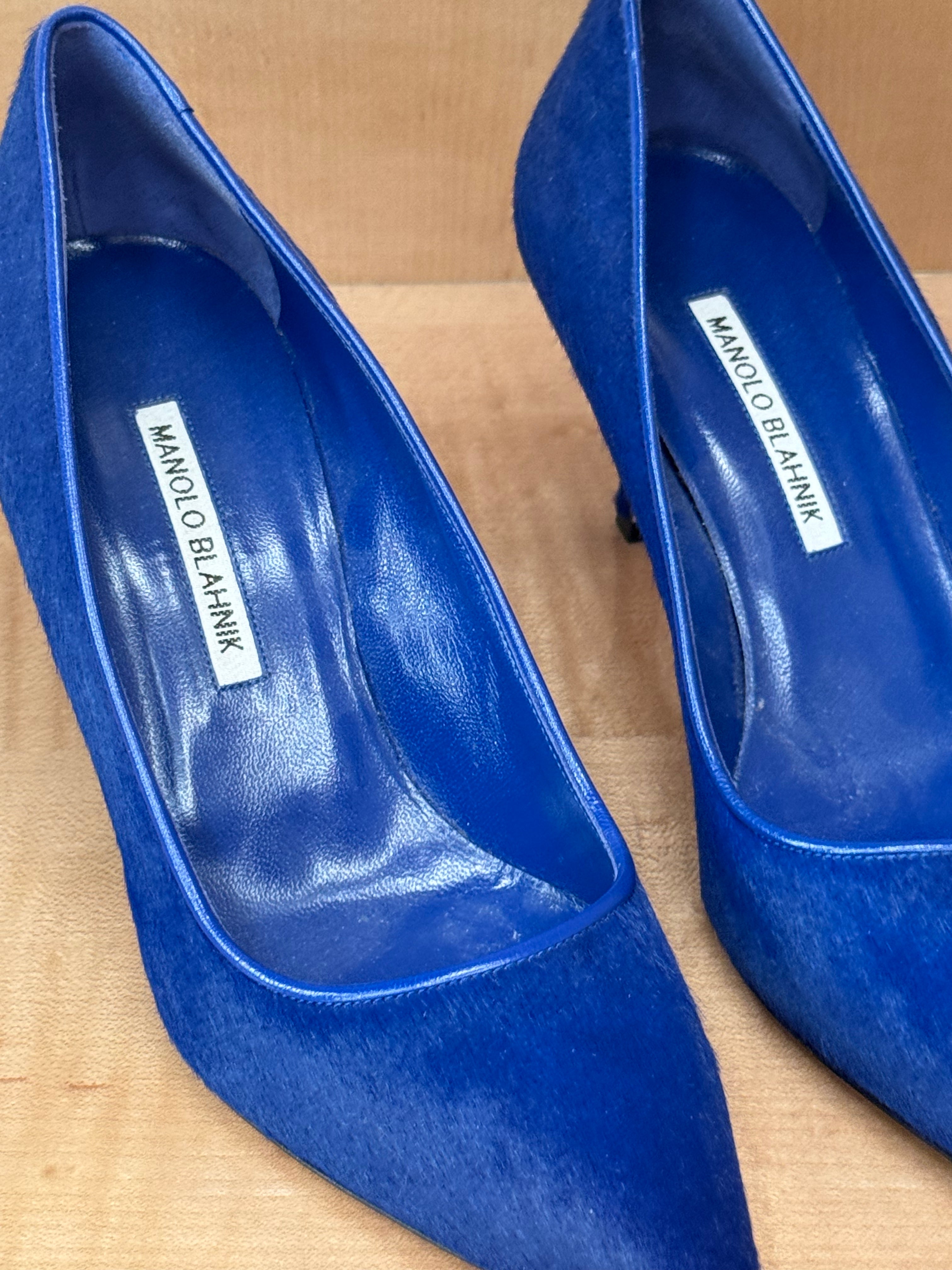 BB Cobalt Calf Hair Pumps (39)