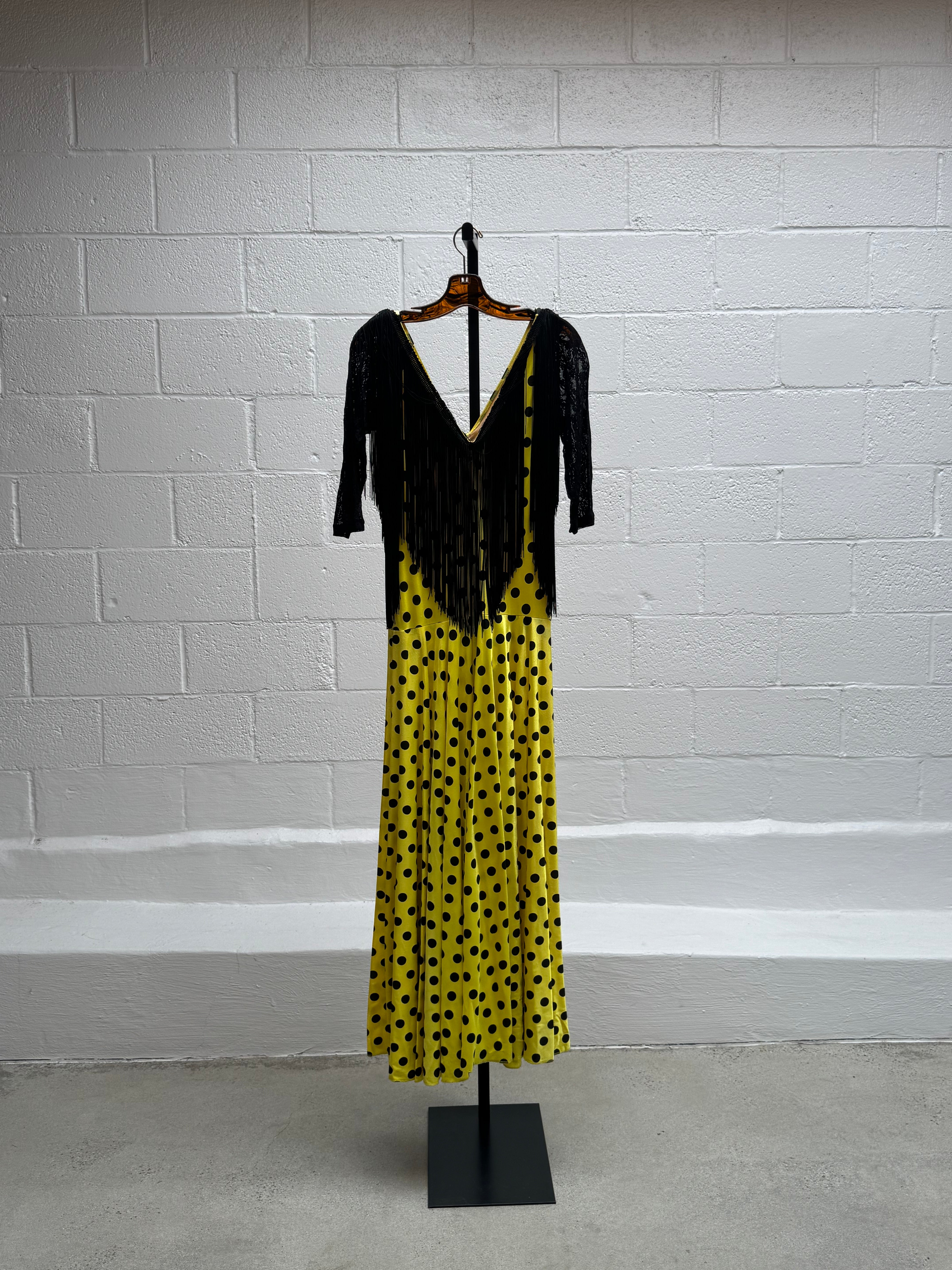 Polka Dot and Fringe Dress