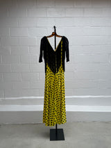 Polka Dot and Fringe Dress