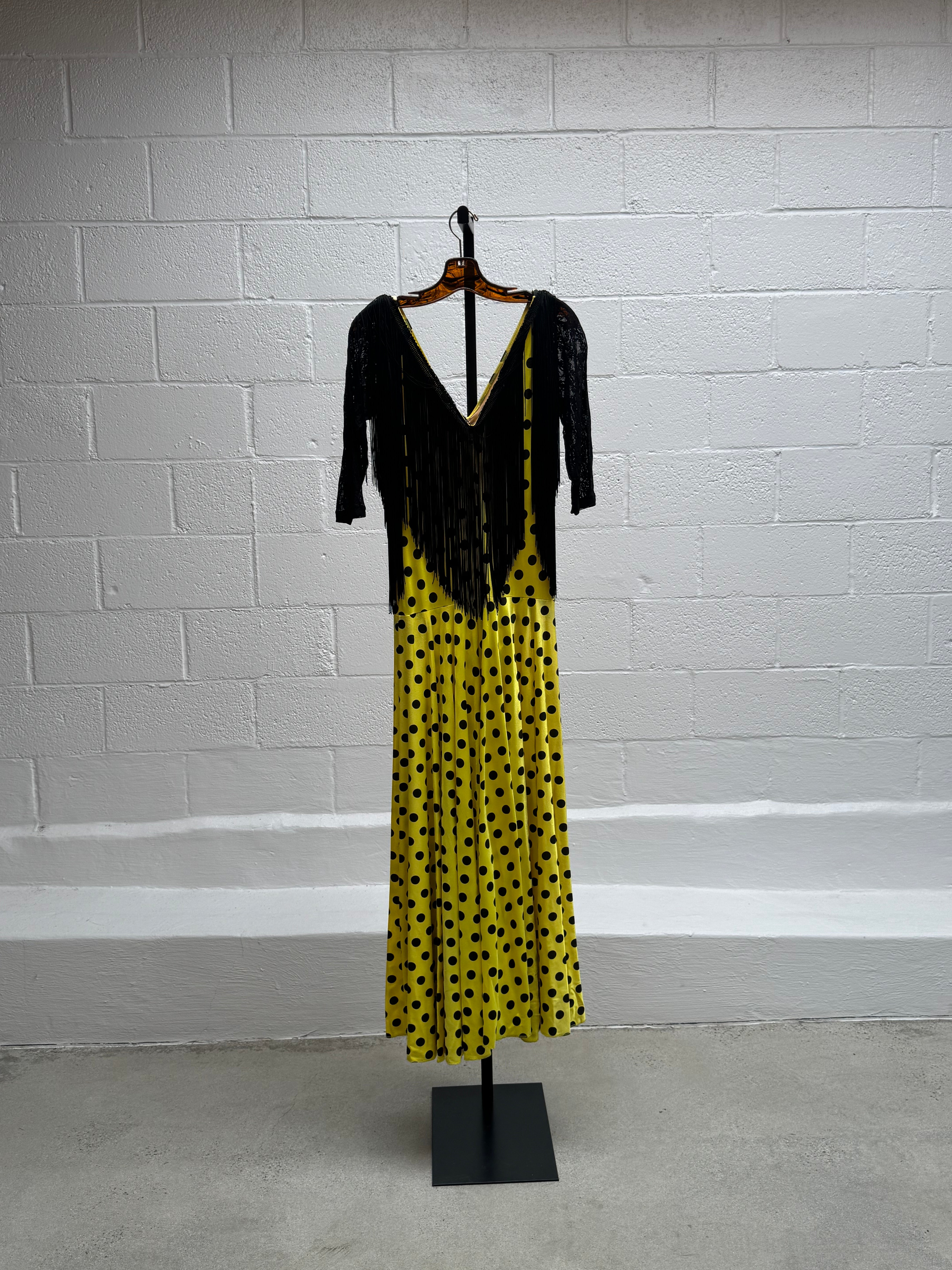 Polka Dot and Fringe Dress