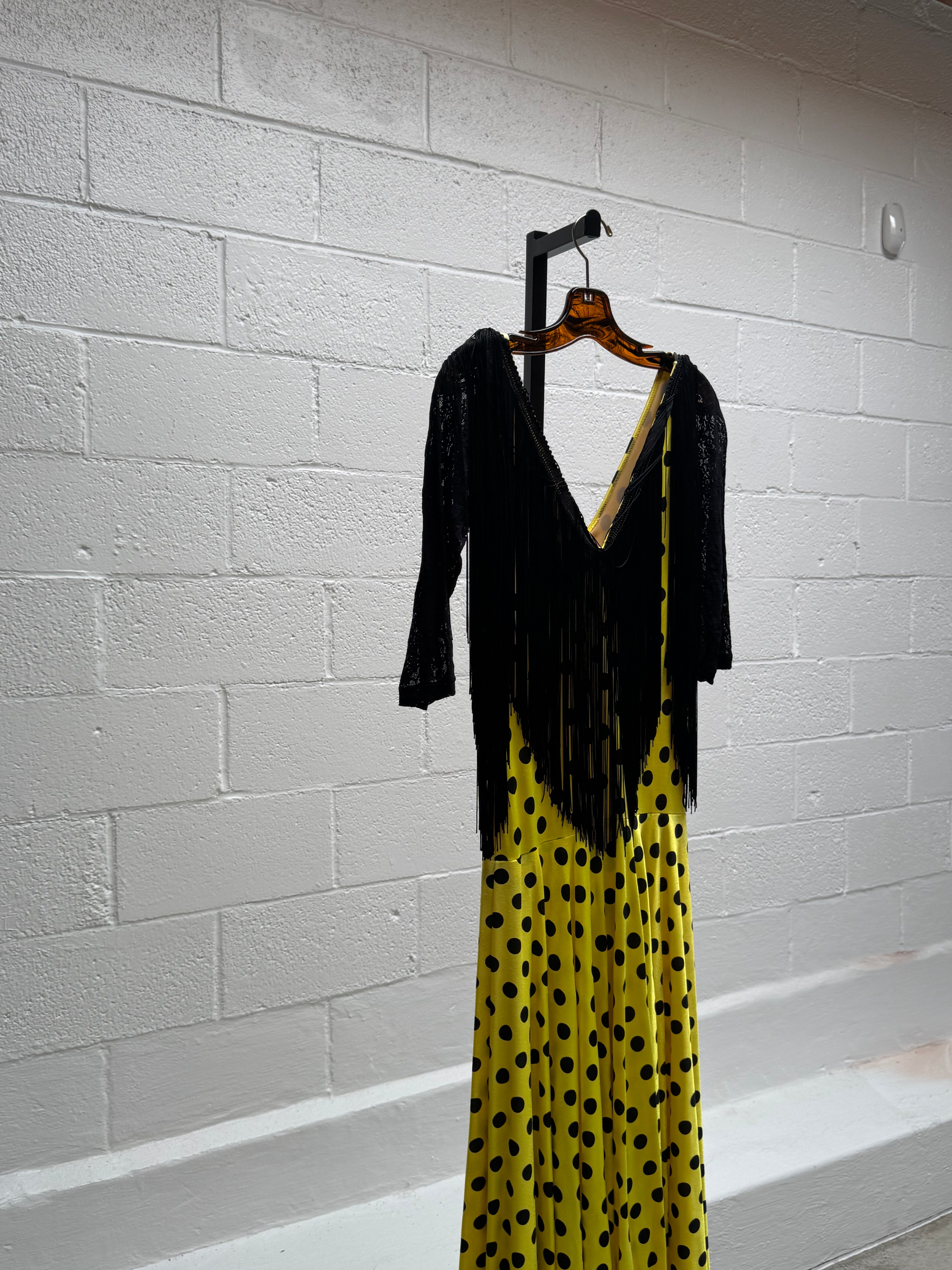 Polka Dot and Fringe Dress