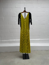 Polka Dot and Fringe Dress