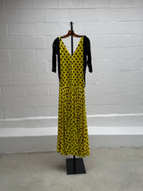 Polka Dot and Fringe Dress