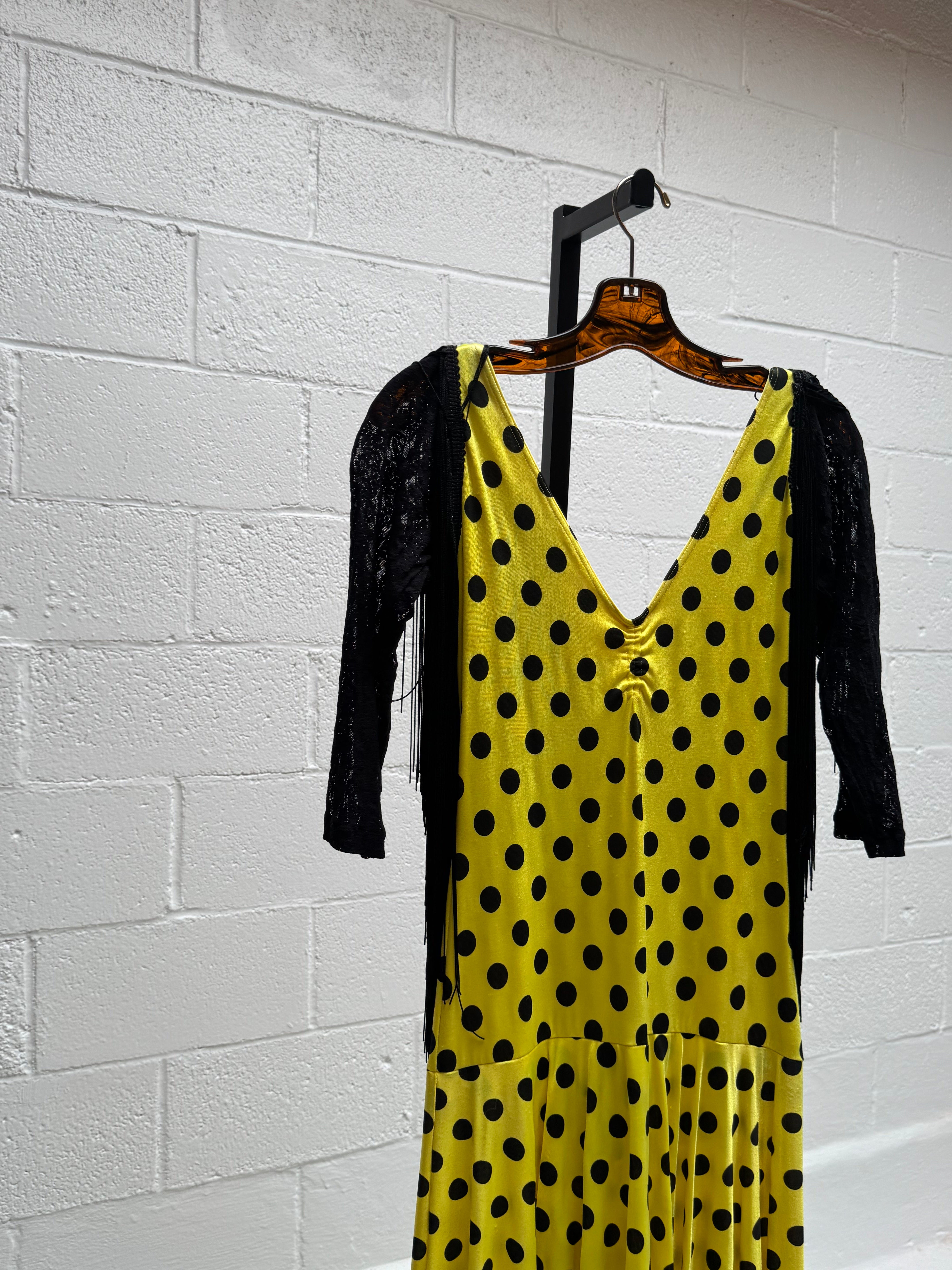 Polka Dot and Fringe Dress