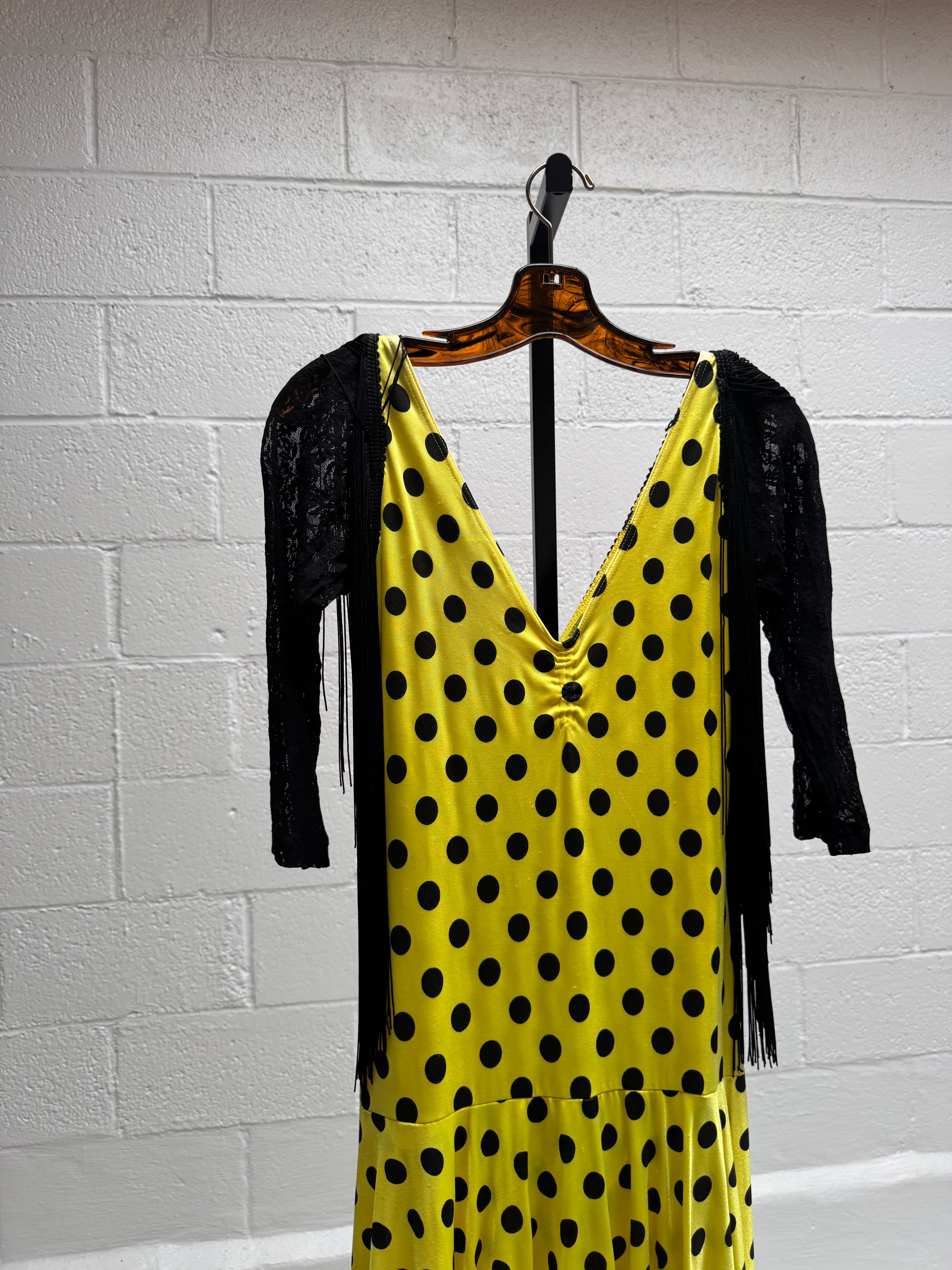 Polka Dot and Fringe Dress
