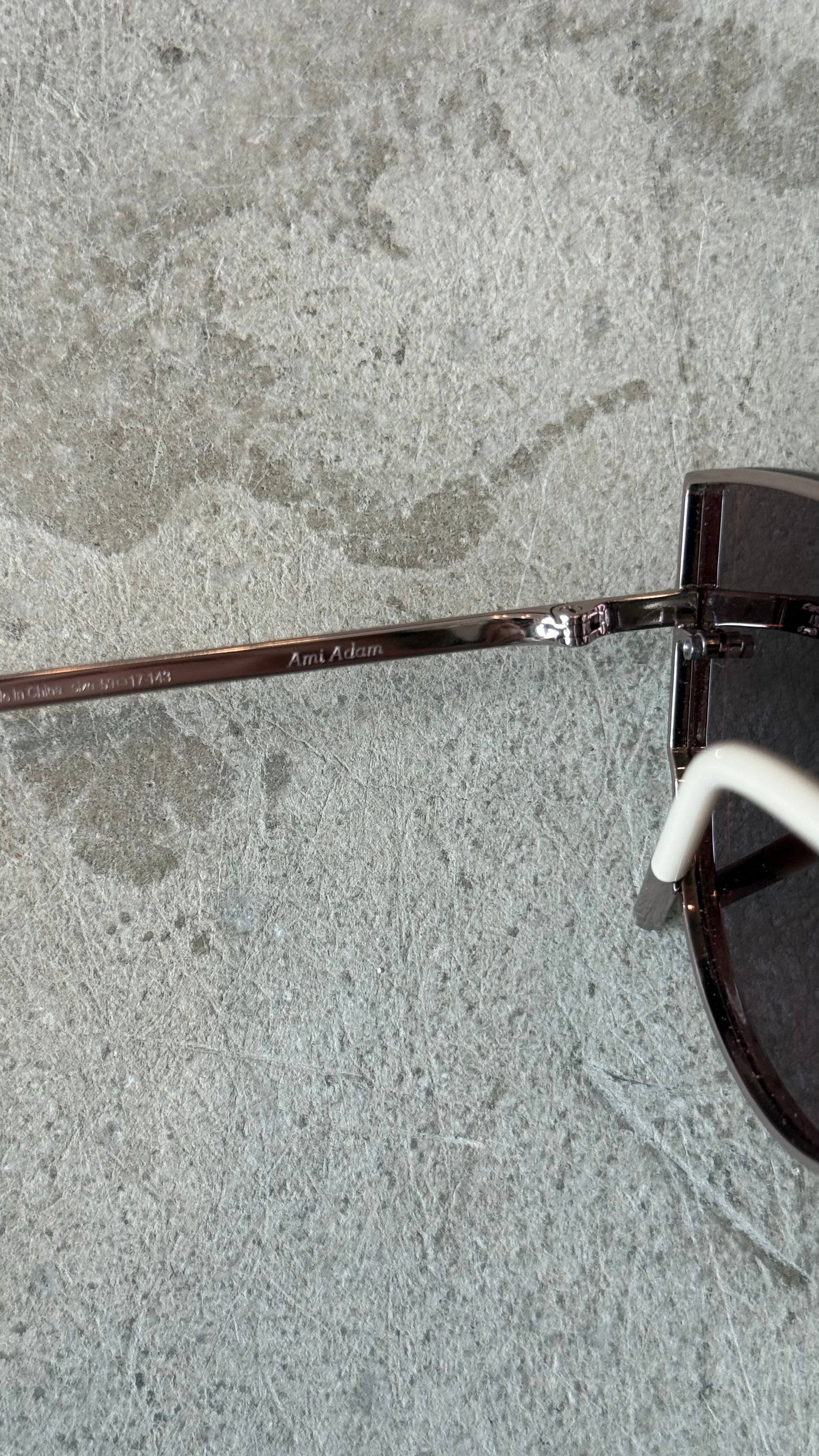Luna Titanium Sunglasses
