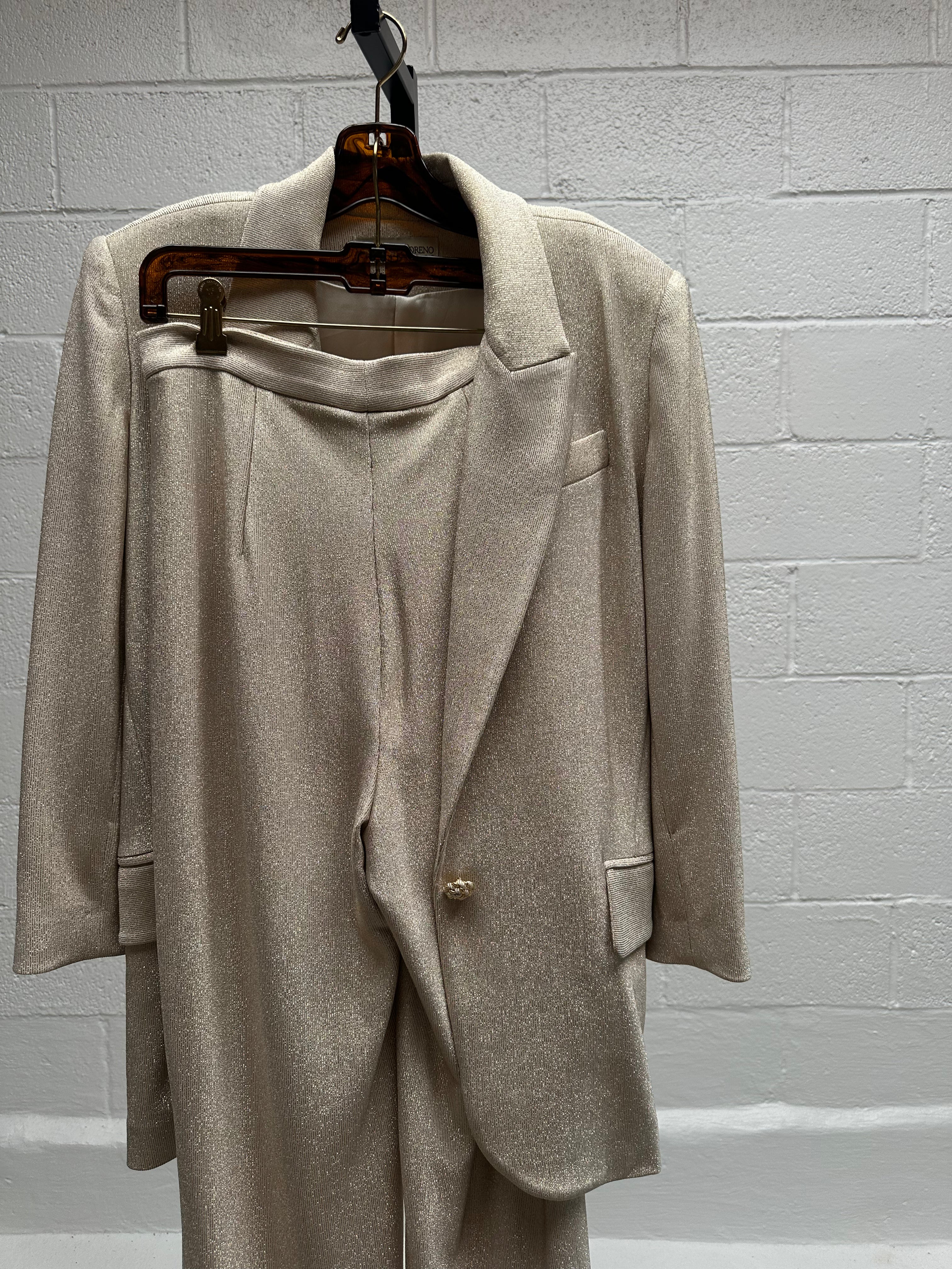 Light Beige Sparkly Blazer Top and Pants