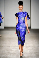 Blue Floral dress Fall 2011