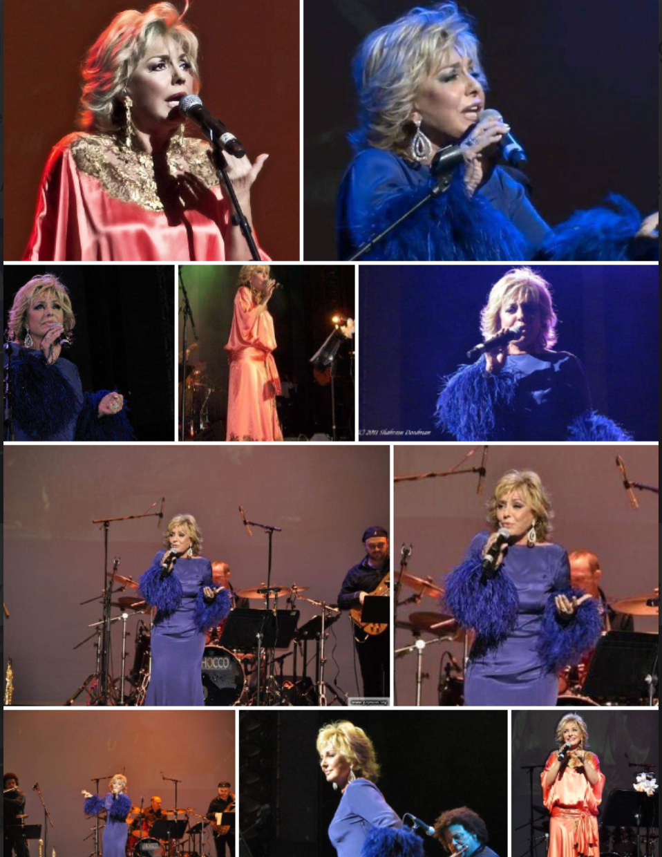 Silk & Lace  Flapper Style dress