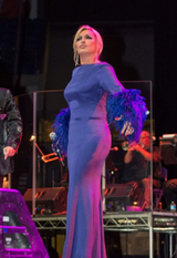 Blue Dress with Feathered Sleeves and Shoes