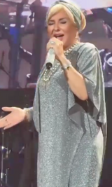 Silver Dress