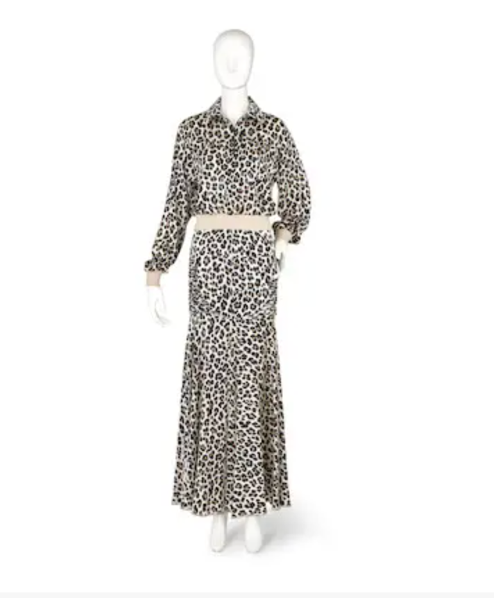 Animal Print Top and Skirt Set