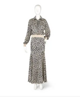 Animal Print Top and Skirt Set