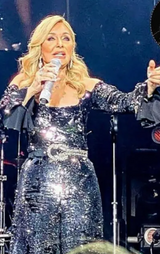 Eye-Catching Silver and Black Sequin Jumpsuit with Off-The-Shoulder Sleeves